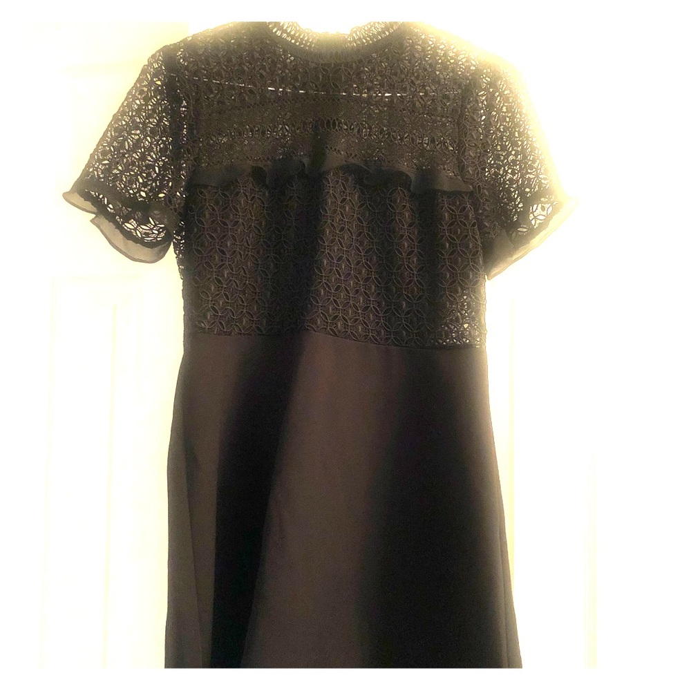 Zara Knee Length Black Lace Cocktail Dress